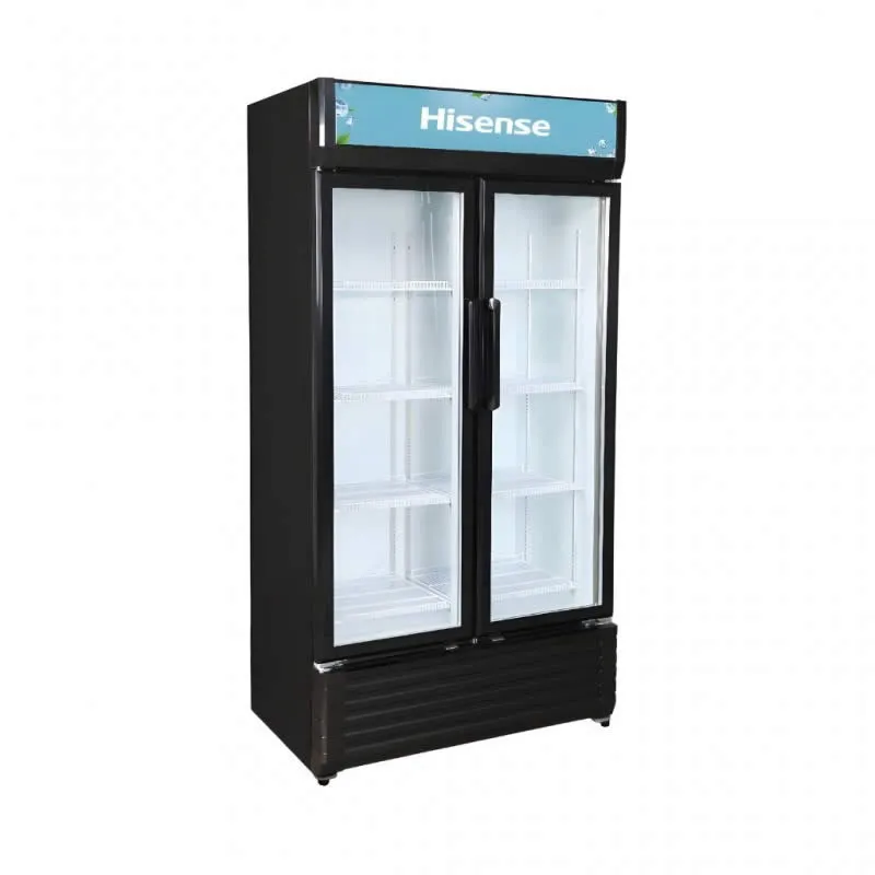 Hisense Double Door Showcase Freezer 600lts